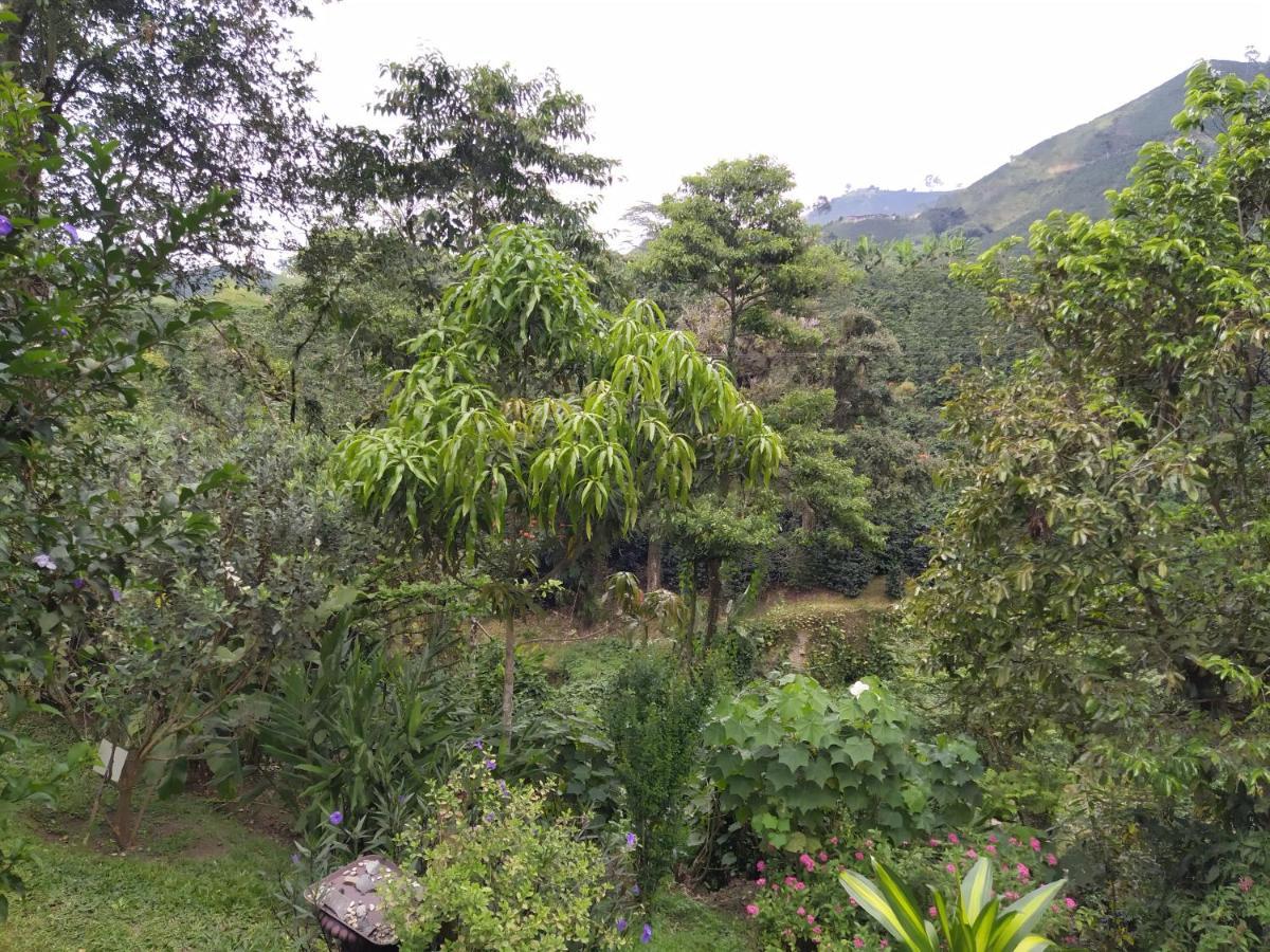 Hacienda Guayabal Villa Chinchiná Kültér fotó